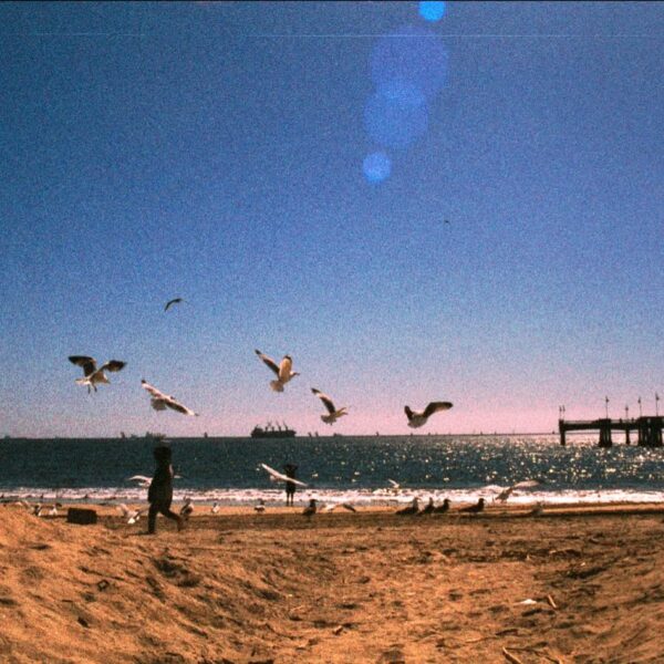 People on a beach with birds flying over the water at sunset.
